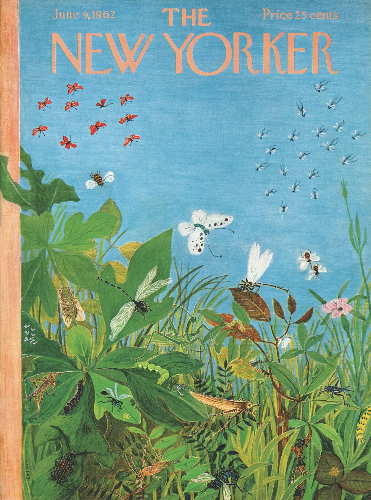 Обложка The New Yorker, 9 июня 1962, художник Илонка Карас