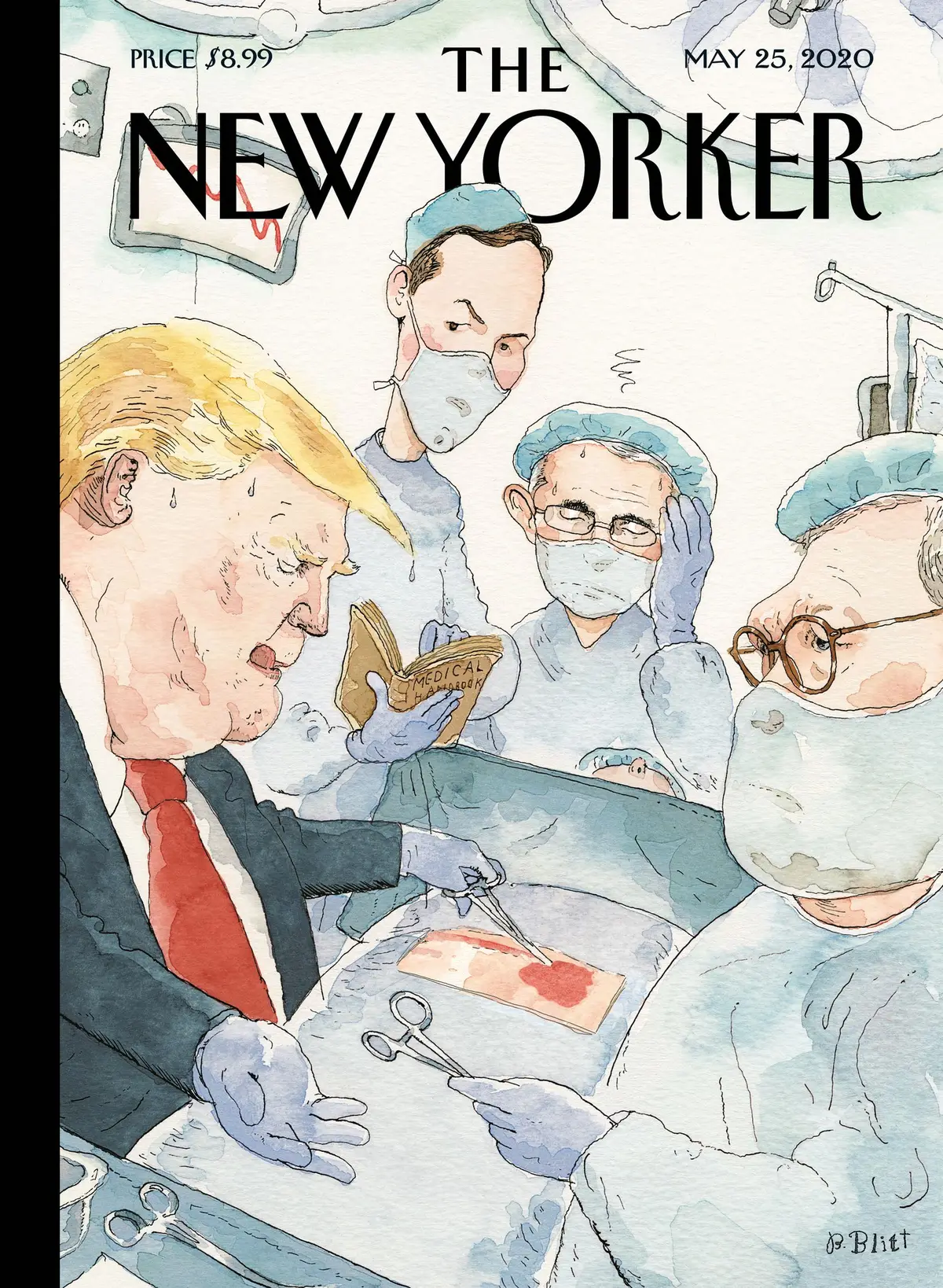 Обложка The New Yorker, 25 мая 2020: Природный дар, художник Барри Блитт