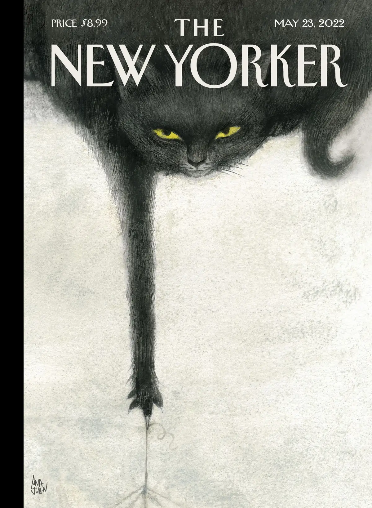 Обложка The New Yorker, 23 мая 2022: Проказы, художник Ана Хуан