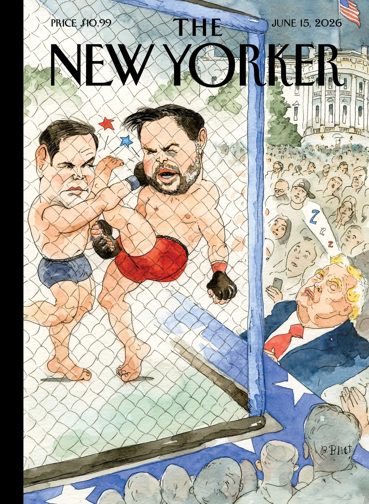 Обложка The New Yorker, 15 июня 2026: Без сознания, художник Барри Блитт
