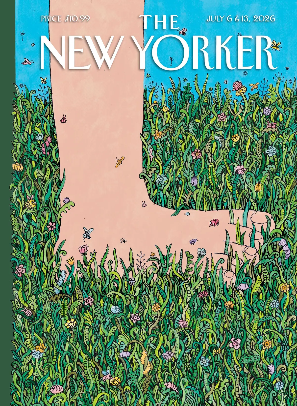 Обложка The New Yorker, 6 июля 2026: С небес на землю, художник Эдвард Стид